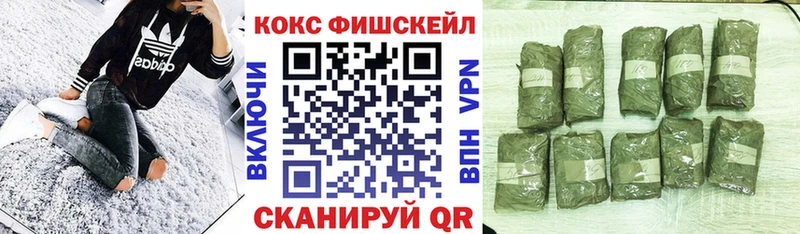 Купить Новодвинск Cocaine Fish Scale