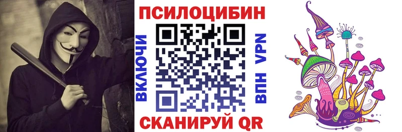Псилоцибиновые грибы мухоморы  Купить закладки  Новодвинск 