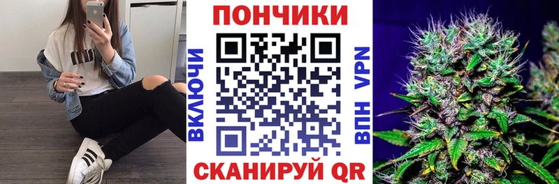 Каннабис конопля  Купить закладки  Новодвинск 